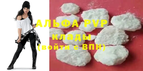 индика Белоозёрский